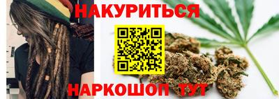 индика Лесосибирск