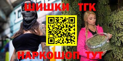 индика Лесосибирск