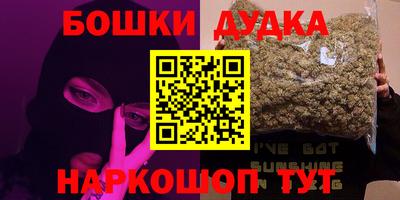 индика Лесосибирск