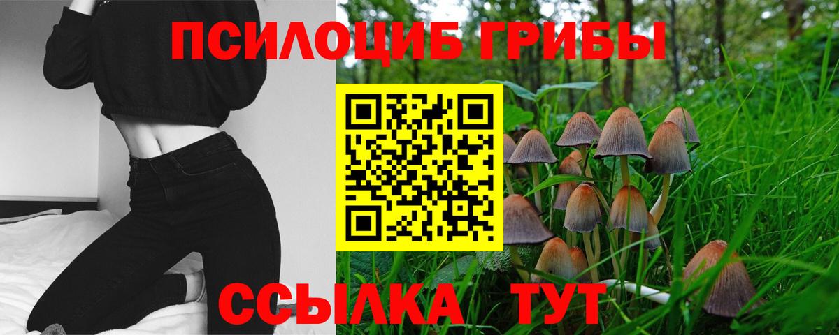 Галлюциногенные грибы Psilocybine cubensis  Псилоцибиновые грибы прущие грибы  где купить наркоту  Кашира  Вход с VPN 